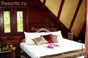 Coconut Tropicana 8